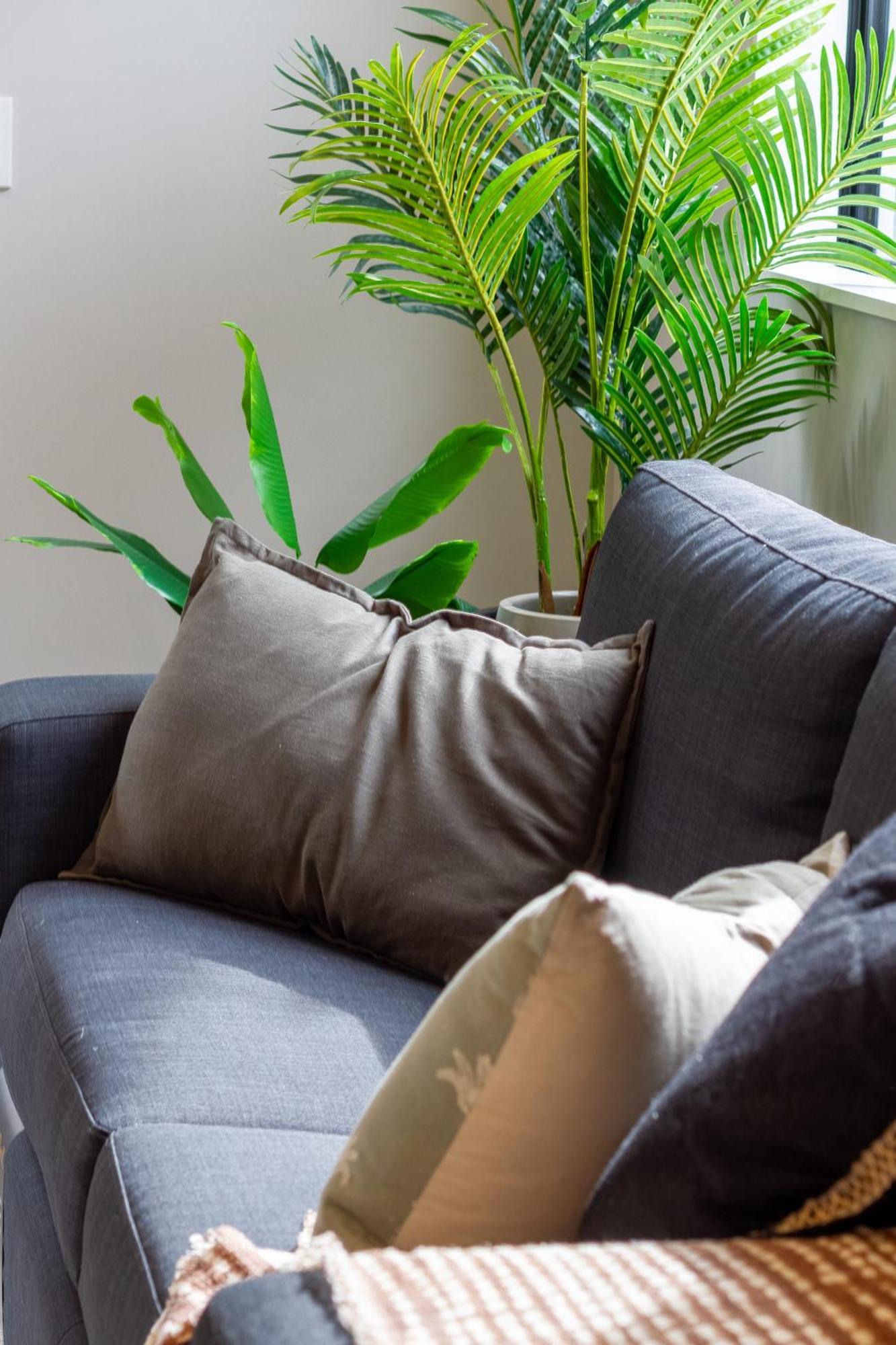 Latimer Square Luxe: 1Br W/ Sofa Bed Christchurch Ngoại thất bức ảnh